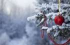 В Красноармейске весело и ярко откроют главную новогоднюю елку
